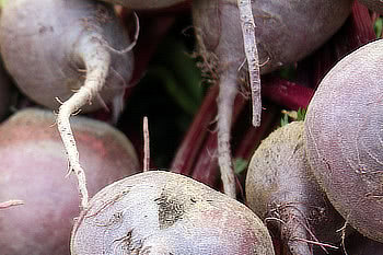 grilovaná řepa na grilu troubě